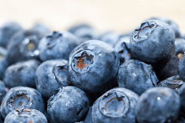 fresh ripe blueberries with vitamins, harvested, close up