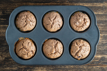 Six chocolate muffins in baking tray