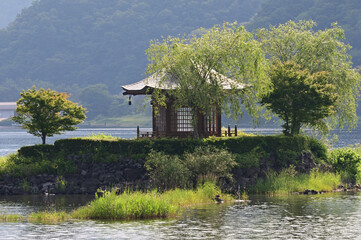 Fototapete bei efototapeten.de bestellen   