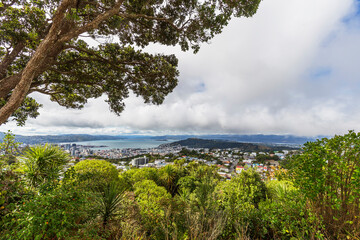 Wellington city harbor, New Zealand