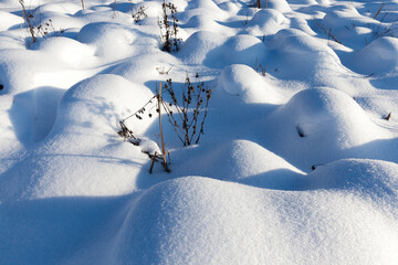 grass in large drifts after snowfalls and blizzards, the winter