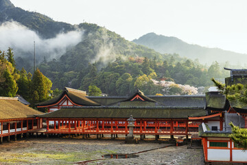 夕霧がかかる春の厳島神社、鏡の池（広島県、宮島）