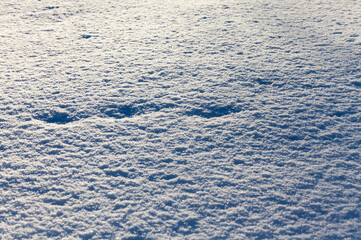 soft but frozen snow that fell during the snowfall