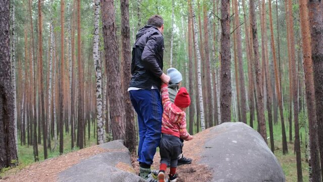 Father helps kids in coloured jackets climb up large grey rock giving hand and standing among green forest trees in autumn