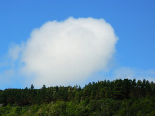 Lonely big cloud above the forest