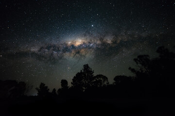 Fototapeta na wymiar Milkyway and Starry Sky Over Silhouette of Trees. Astro Photography Concept