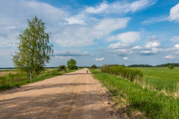 Fototapeta na wymiar Golden Retriever on a Rural Dirt Road