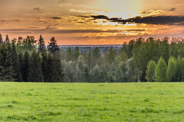 Fototapeta na wymiar Sunset at a Rural Scene of Meadow and Forest
