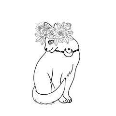 Monochrome line art illustration of hand drawn mystical cat. Witch pet black and white decorated with flowers. Isolated on white background.