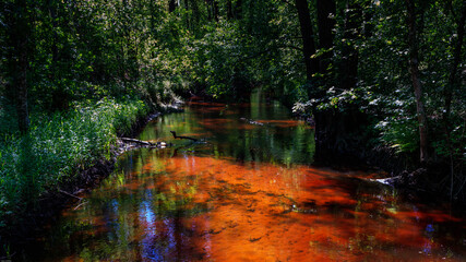 River in the forest and the suns rays