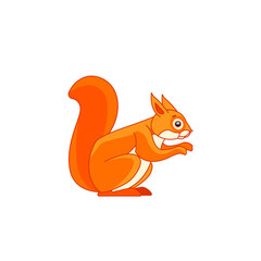 Red squirrel feeding. Tail up. Cartoon character of a rodent mammal animal. A wild forest creature with orange fur. Side view. Vector flat illustration isolated on a white background