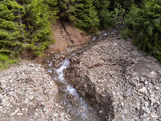 Aerial drone view, small flooded mountain creek  flowing through green pine forest.