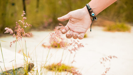 hand holding a wild flower