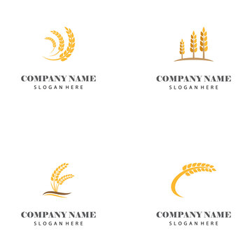 Luxury Golden Grain Weath / Rice Logo Design Vector