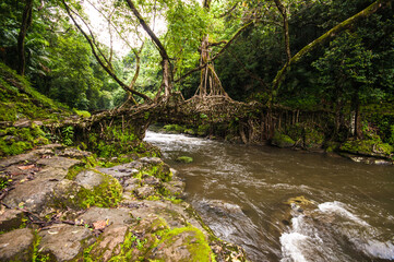 Fototapeta premium A village homestay at Mawlynoong, the Asia's cleanest village near Cherrapunji, Meghalaya of India and tranquil nature with natural root bridge. A great tourist spot.