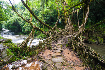 A village homestay at Mawlynoong, the Asia's cleanest village near Cherrapunji, Meghalaya of India...