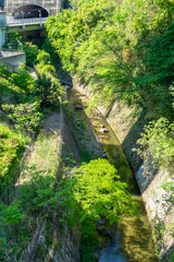 山の中にある鉄道トンネルと水路