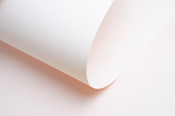 핑크색 우아한 종이 연출