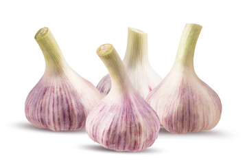 Obraz premium Garlics isolated on white background