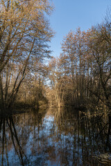 Obraz premium Marais de Chéry-Lès-Pouilly
