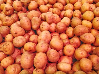Photos of fresh potatoes (Solanum tuberosum)