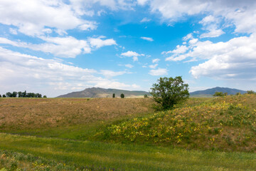 Summer mountain landscape. Blooming fields and medicinal herbs against the background of high mountains. Kyrgyzstan.