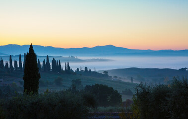 Hilly fields and cypress in the foggy  valley before sunrise, Tuscany, Italy.
