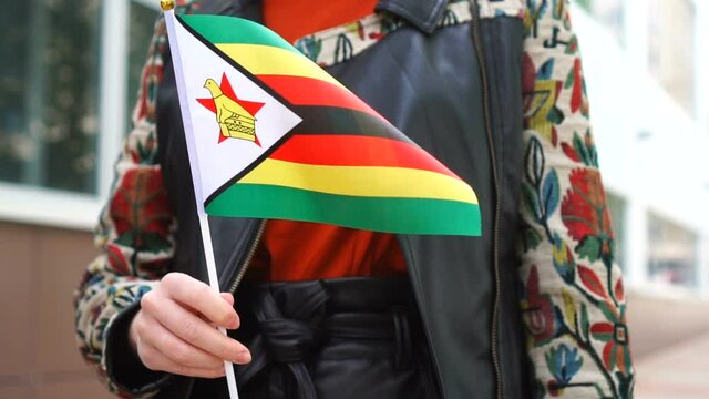 Unrecognizable woman holding Zimbabwean flag. Girl walking down street with national flag of Zimbabwe