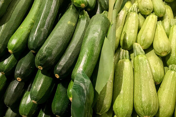 Pile of freh green zucchini and grey zucchini. gray squash on the market. Food background. Harvest