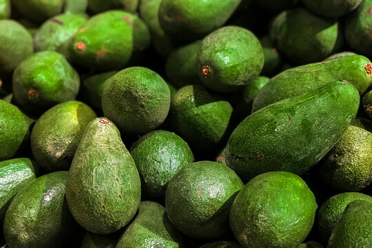 Fresh avocados piled on the market. Food backgroumd. Harvest