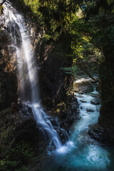 Obraz premium waterfall in the forest