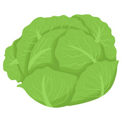Cartoon illustration with colorful vegetable cabbage. Farm market product. Vector hand drawn graphic. Single isolated art.