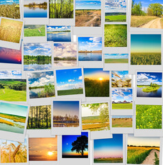 Nature and agriculture background. Collage of images