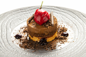 Elegant chocolate dessert with raspberry sorbet