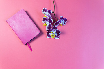 purple orchid flower and paper diary book on pink paper background
