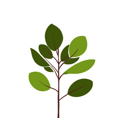 Ficus foliage abstract vector illustration
