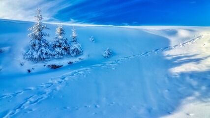 Fototapeta na wymiar landscape with snow