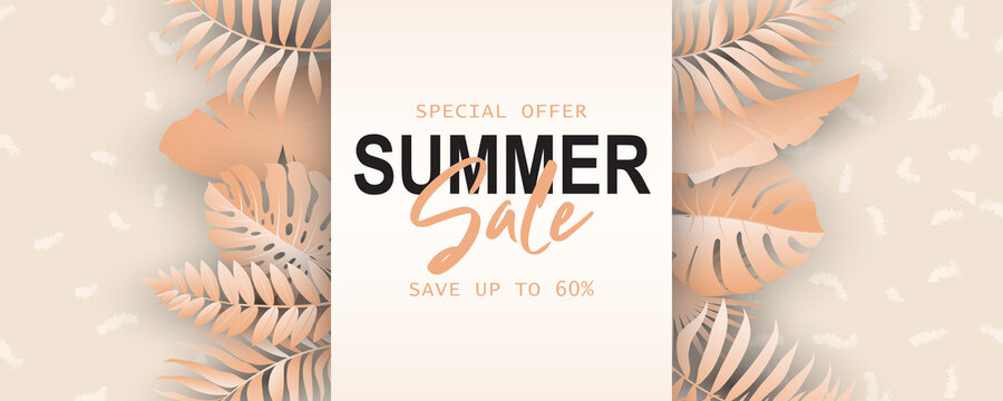 Summer banner template for advertising summer arrivals collection or seasonal sales promotion