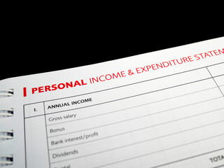 Obraz premium Selected focused on Personal Income and Expenditure text found on one page of a notebook. Be the title to a table of personal income entries that are still empty.