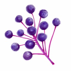 Berries on a branch. Isolated picture on a white background. Watercolor botanical illustration.