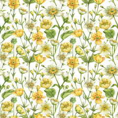 Floral seamless pattern with yellow and white buttercups and green leaves and herbs. Hand-drawn wildflowers.