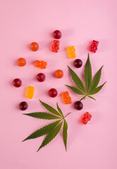 Gummy bears made of Cannabis Medical Marijuana with fresh green leaf of Cannabis against pink background. CBD and THC medical product.