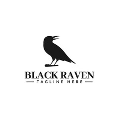 Fototapeta na wymiar black raven logo vector design. for logo template
