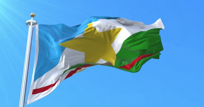 Roraima state flag, Brazil. Loop