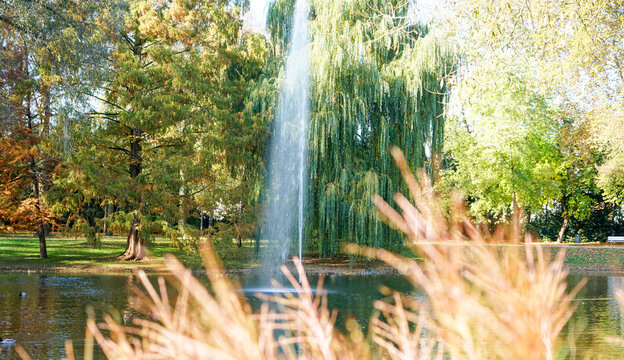 Sunny Park With A Pipe Splashing Water Upwards In A Lake Surrounded By Colorful Trees