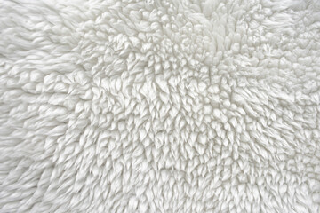 Sheep wool, white, close-up, background, texture, surface