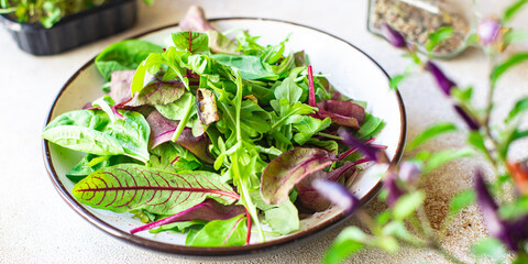 fresh green salad mix leaves in a plate on the table healthy food meal snack copy space food background rustic. top view keto or paleo diet veggie vegan or vegetarian food