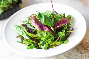 fresh green salad mix leaves in a plate on the table healthy food meal snack copy space food background rustic. top view keto or paleo diet veggie vegan or vegetarian food