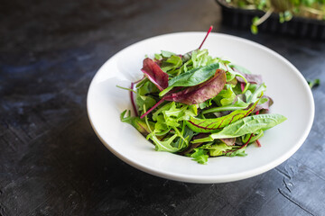 fresh green salad mix leaves in a plate on the table healthy food meal snack copy space food background rustic. top view keto or paleo diet veggie vegan or vegetarian food