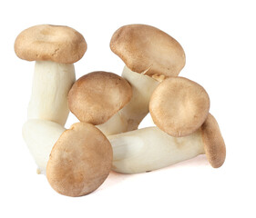 King Oyster mushroom on white background.